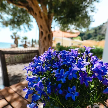 Lejlighed Corfu 24